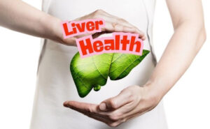 Image of stylized liver to represent a healthy liver