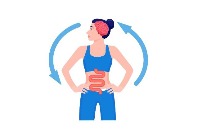 Illustration of gut-brain connection
