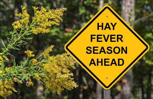 Photo of road sign saying "Hay Fever Season Ahead."