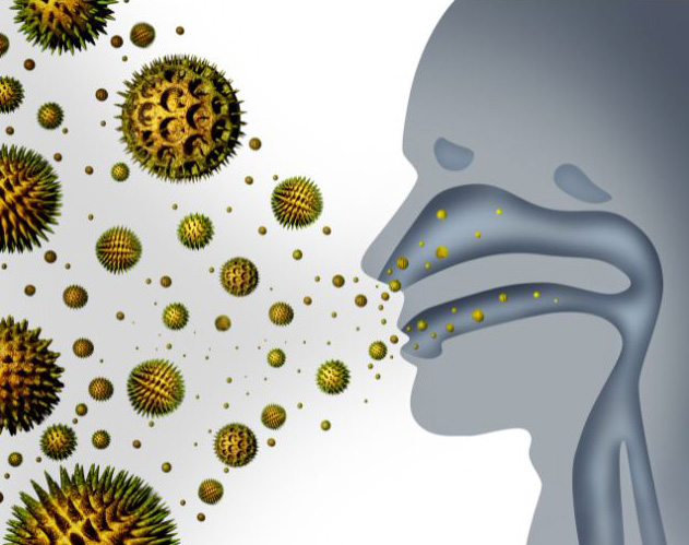 Diagram of a person inhaling airborne substance, typically pollen.