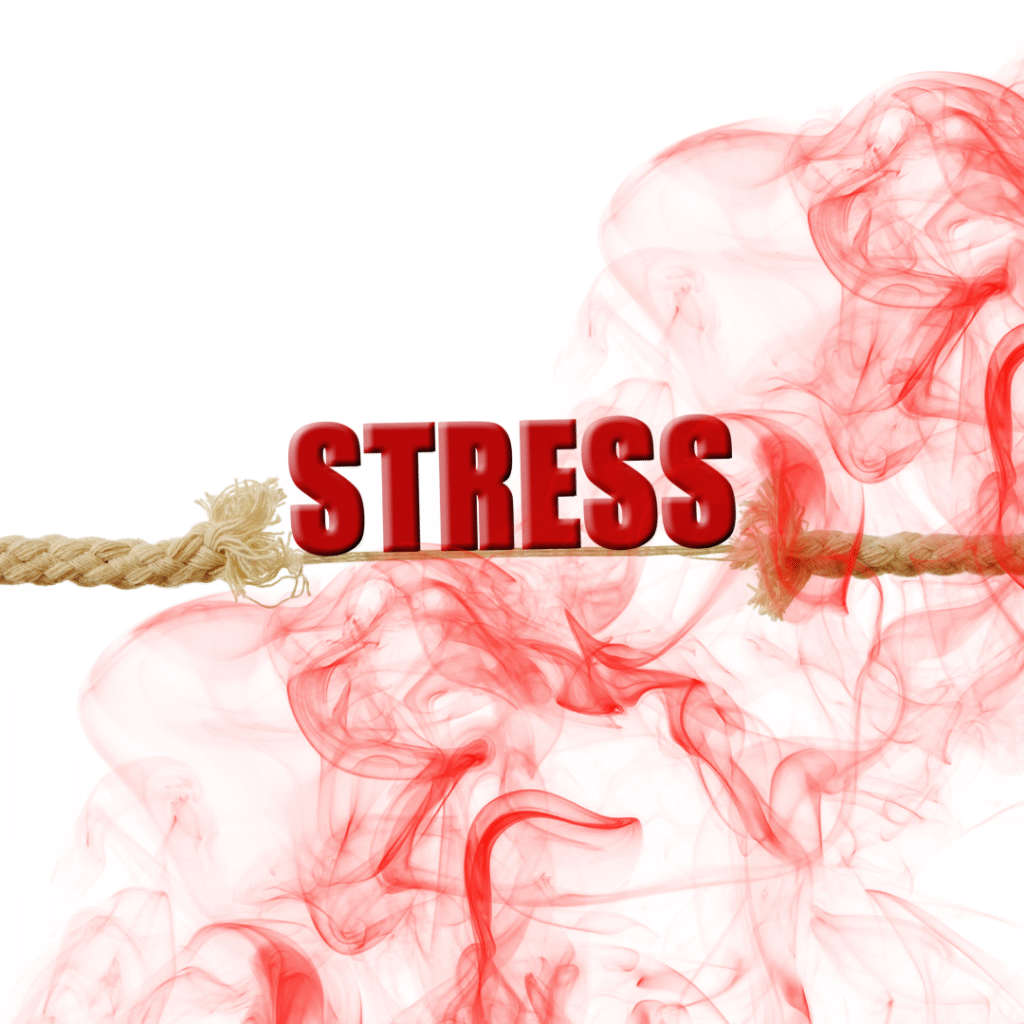 the word stress