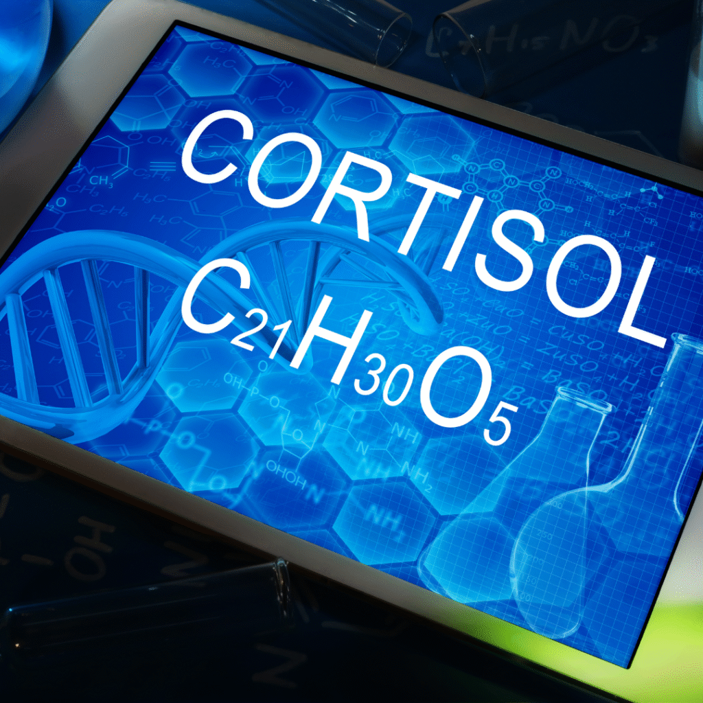 elements that make cortisiol