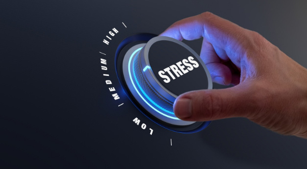 Evidence-Based Telehealth Strategies for Executive Burnout and Neurowellness