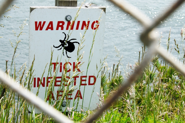 A warning sign reading 'Tick Infested Area' posted near tall grass and a body of water for the article about whether one can get Doxycycline online for Lyme