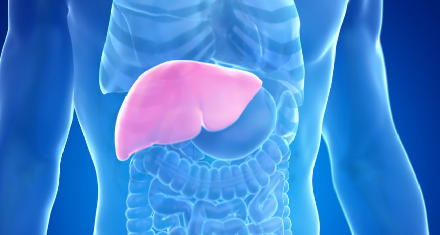 Photo of a man's liver